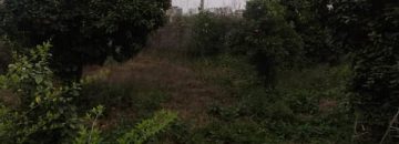 خرید زمین تنکابن