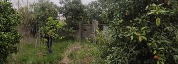 خرید زمین تنکابن