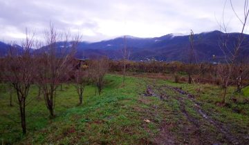 خرید زمین تنکابن