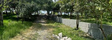 خرید باغ مرکبات تنکابن