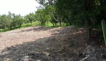 خرید زمین تنکابن