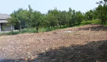 خرید زمین تنکابن