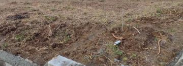 خرید زمین تنکابن