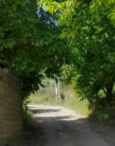 خرید زمین آمل