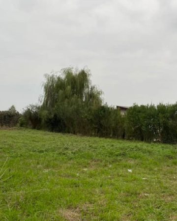 خرید زمین تنکابن