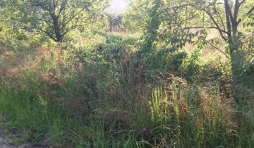 خرید باغ تنکابن