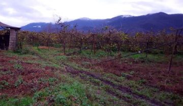 خرید زمین تنکابن