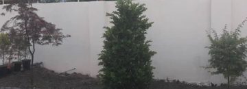 خرید ویلا تنکابن