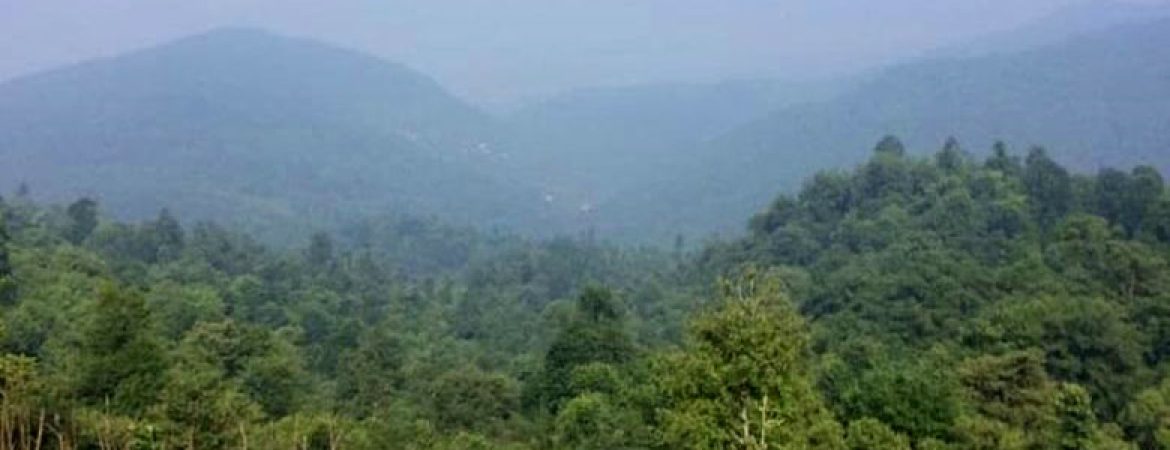 خرید زمین رامسر