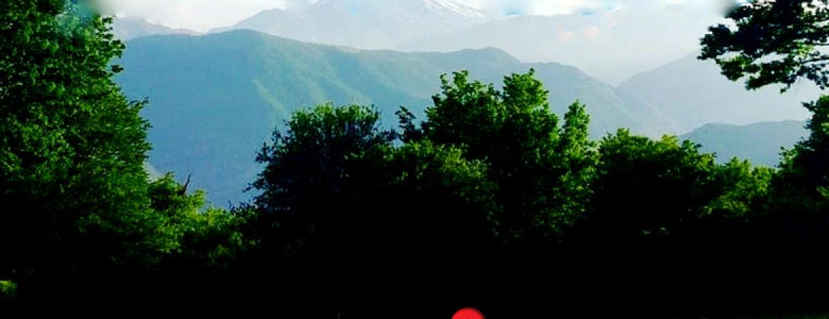 خرید زمین آمل