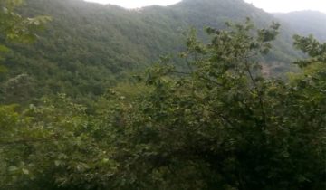 خرید زمین تنکابن