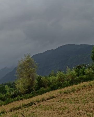 خرید زمین تنکابن