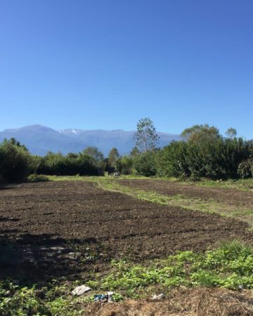 خرید زمین تنکابن