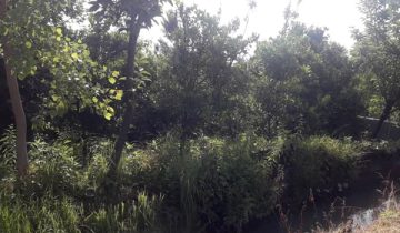 خرید زمین تنکابن