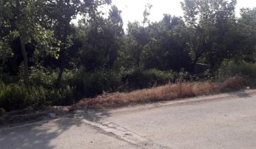 خرید زمین تنکابن