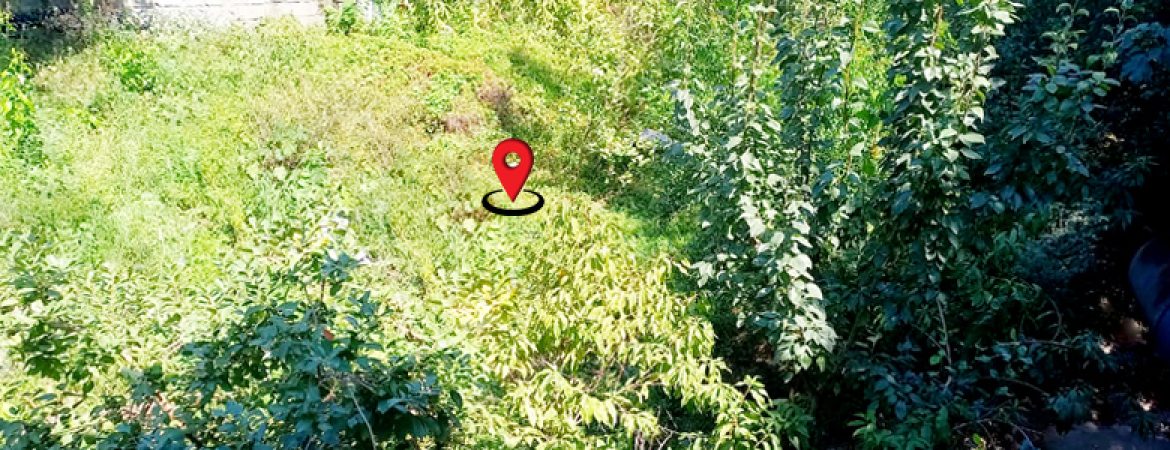 خرید زمین رامسر