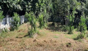 خرید زمین تجاری تنکابن