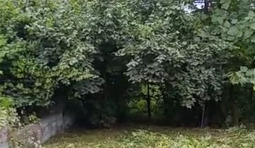 خرید زمین تنکابن