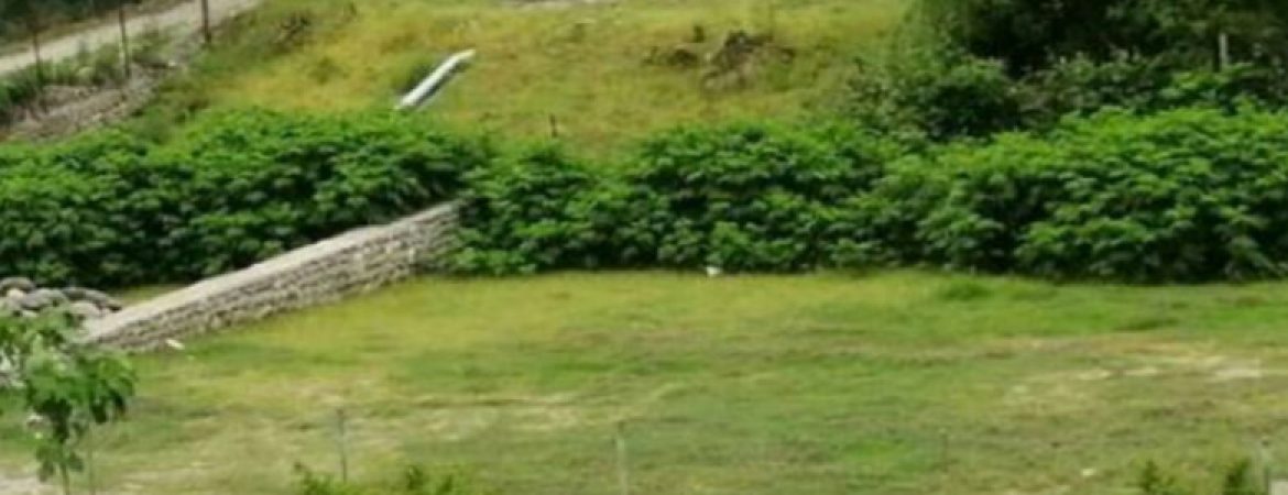 زمین مسکونی