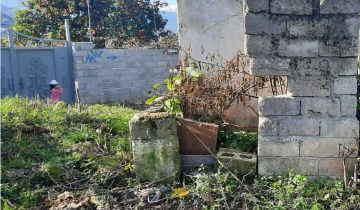 تنکابن لشتو