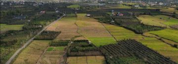 معرفی زمین های سودآور درمازندران تنکابن