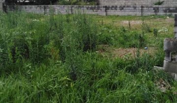 زمین با موقعیت عالی تنکابن