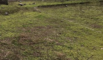 زمین با موقعیت عالی تنکابن