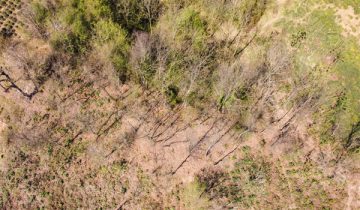 تصویر زمین سرسبز قطعه بندی شده